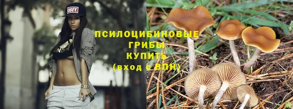 спиды Алзамай