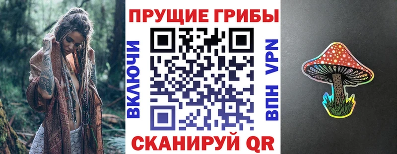 Купить где  Петров Вал  Псилоцибиновые грибы ЛСД 